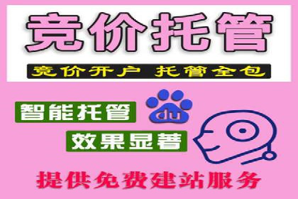 某电商平台的托管SEM竞价策略大揭秘